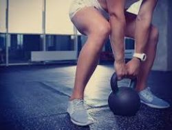 Program Gym Ringan Untuk Pemula Dengan Fokus Mobilitas Tubuh Dan Stabilitas Otot